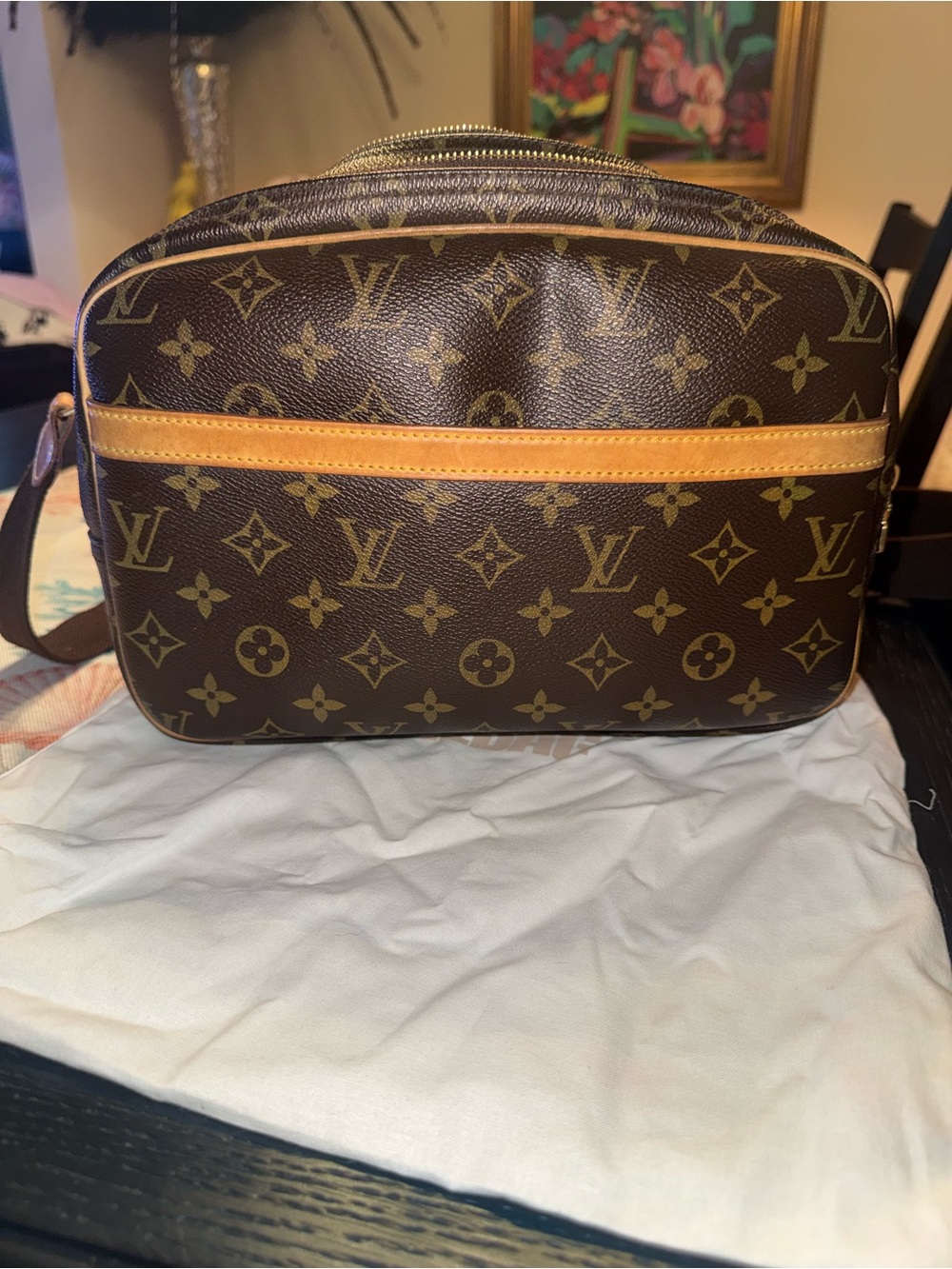 Louis Vuitton Reporter Bag Monogram Canvas PM - Picture 2 of 13